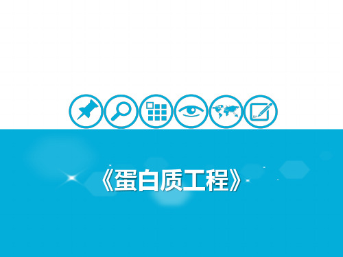 1.4蛋白质工程与基因检测-人教版高中生物选修三课件(共17张PPT)
