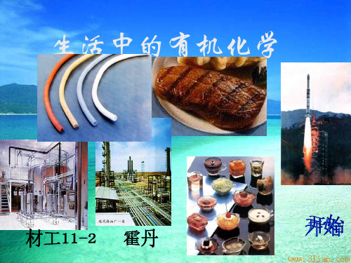 生活中的有机化学