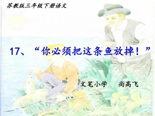 苏教版三年级语文下册课件《你必须把这条鱼放掉》PPT