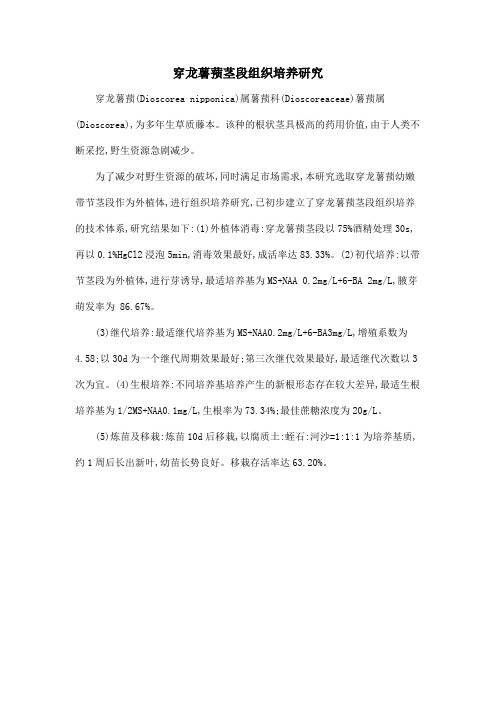 穿龙薯蓣茎段组织培养研究