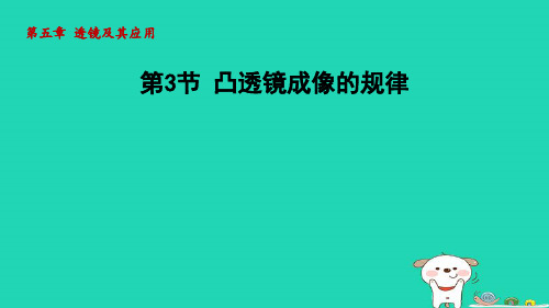 八年级物理上册第五章透镜及其应用第3节凸透镜成像的规律课件新版新人教版