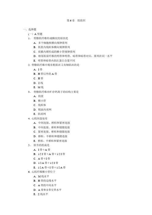 第6章  肌组织