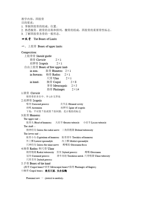 系解笔记四肢骨 颅骨