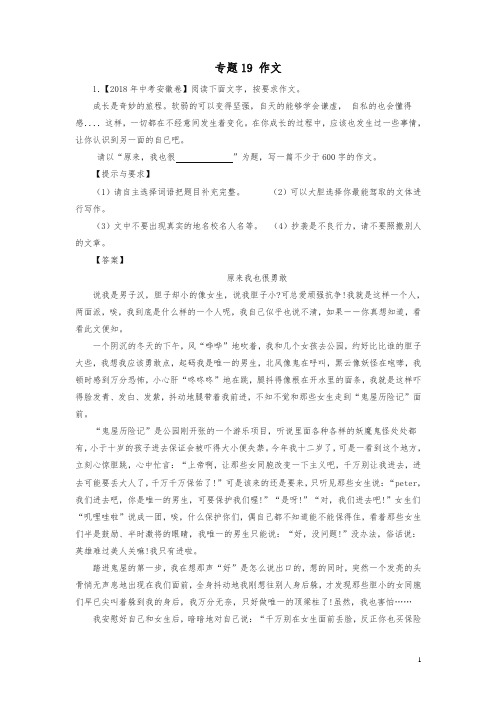 2018年中考语文试题分项版解析汇编：(第01期)专题19 作文(含解析)