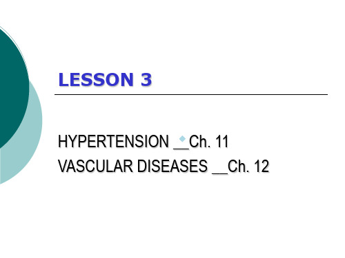 高血压英文PPT精品课件HYPERTENSIONANDVASCULAR