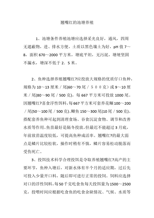 翘嘴红的池塘养殖
