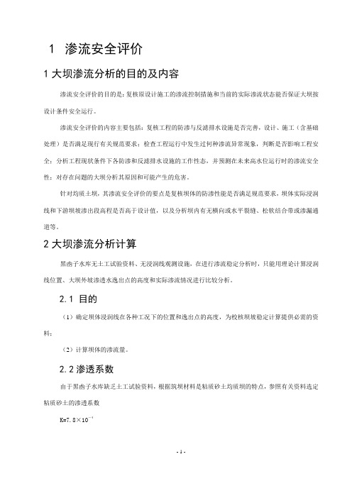 渗流安全评价