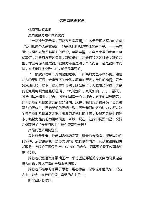 优秀团队颁奖词