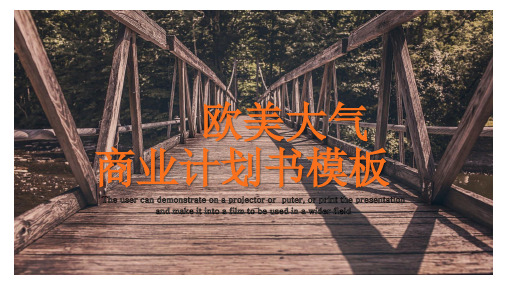 欧美大气商业计划书PPT模板