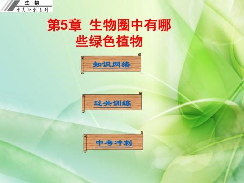 初中生物中考基础梳理复习第5章：生物圈中有哪些绿色植物ppt 人教版