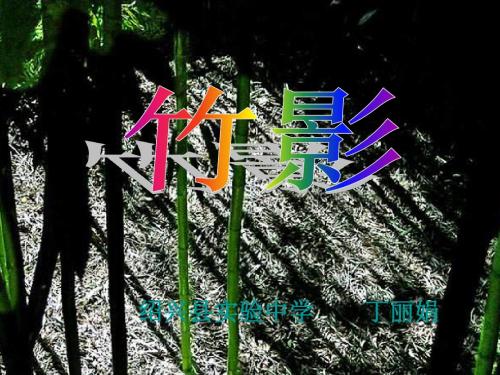七年级语文竹影1(中学课件201908)