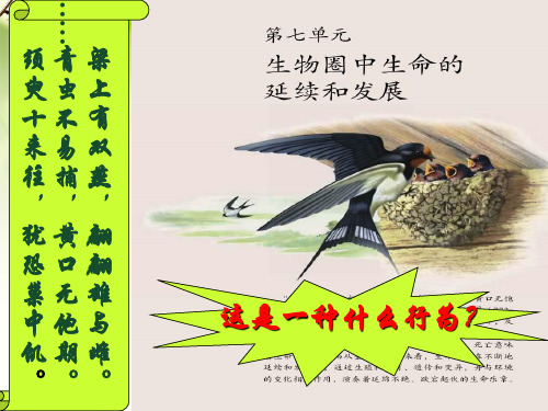 人教版生物八年级下册1.1《植物的生殖》课件 (共40张PPT)