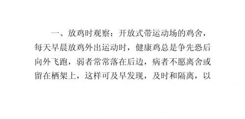 鸡群健康状况六观察