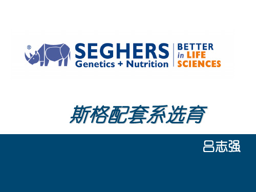 斯格配套系选育