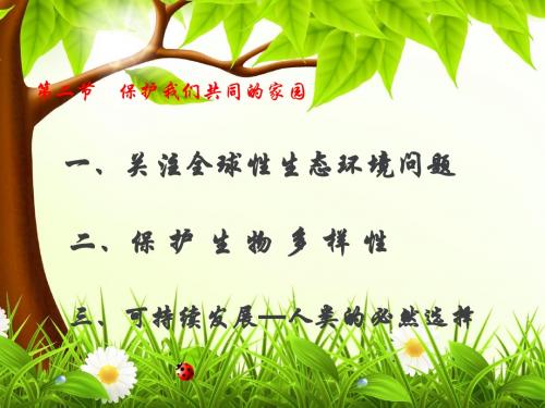 保护我们共同的家园ppt17 1