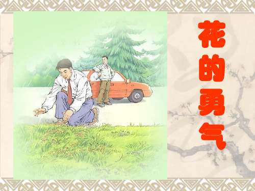 人教版语文四年级下册《花的勇气》ppt课件