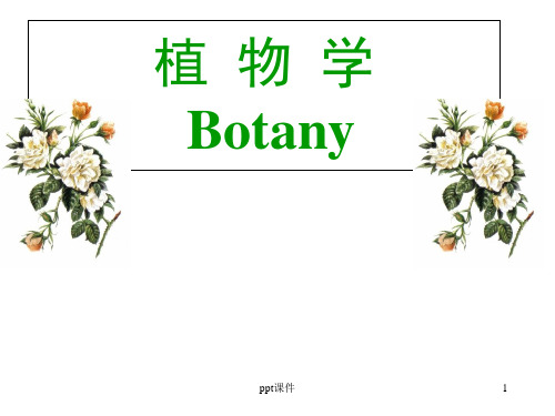 植物学--生殖器官——花  ppt课件