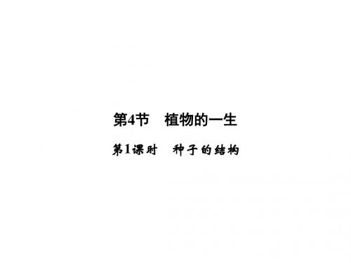 浙江省三门县珠岙中学浙教版七年级科学下册课件：第1章 第4节 第1课时 种子的结构