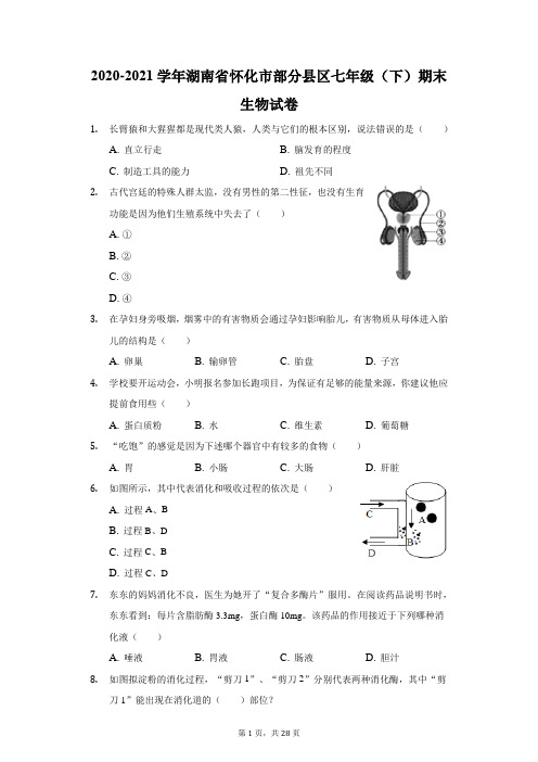 2020-2021学年湖南省怀化市部分县区七年级(下)期末生物试卷(附答案详解)