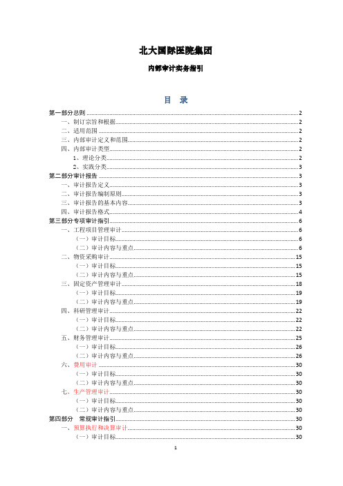 审计项目实务指引