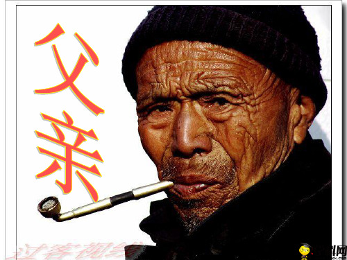江苏省淮阴师范学院附属中学苏教版高中语文选修《现代散文选读》课件：父亲(共13张PPT)