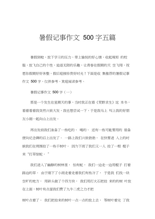 暑假记事作文500字五篇