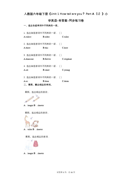 人教版六年级下册《单元 1 How tall are you？  A(1)》同步练习卷