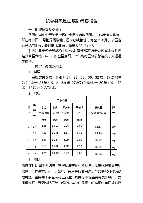 凤凰山煤矿调研报告