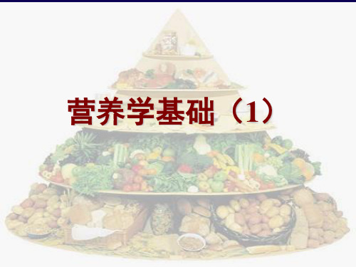 必需氨基酸essentialaminoacidEAA