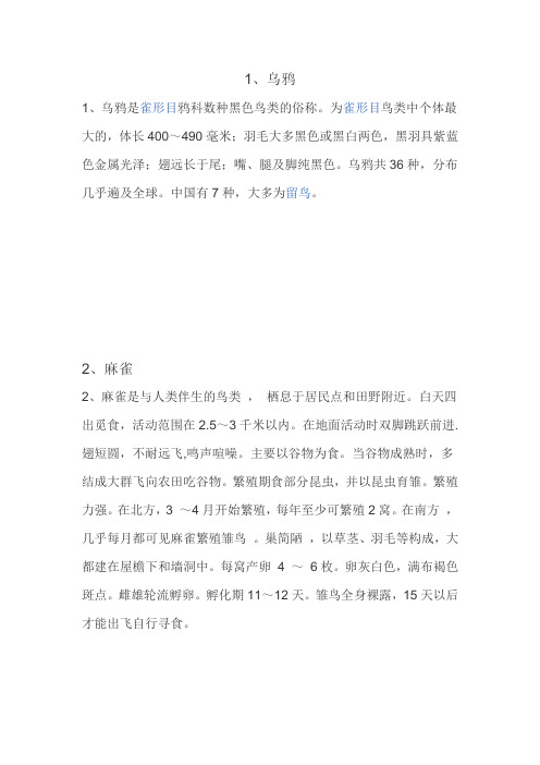 有关乌鸦,海鸥,杜鹃,麻雀,老雕,大雁的资料