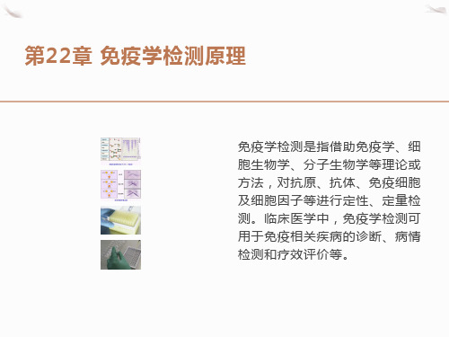 免疫学检测技术的基本原理