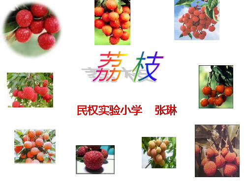 人教版《荔枝》ppt课件