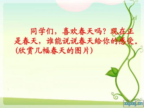 17触摸春天_PPT课件(三疑三探)