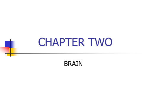 CNS1