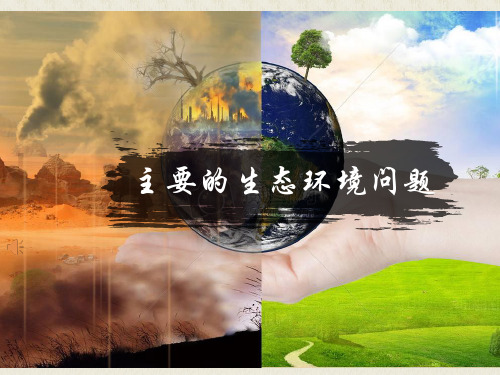 主要生态环境问题