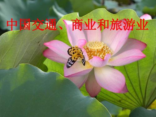 第8讲 中国的交通、商业和旅游业