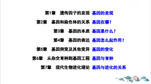 课件基因分离定律届高考一轮复习生物PPT课件_优秀版