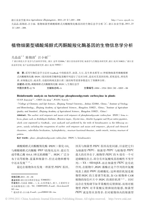 植物细菌型磷酸烯醇式丙酮酸羧化酶基因的生物信息学分析
