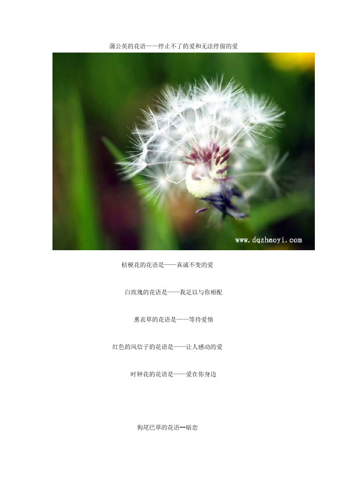 108种花的花语