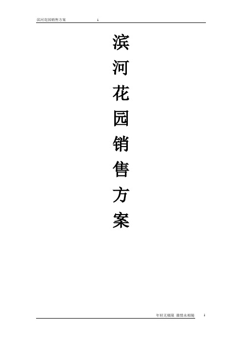 滨河花园销售方案文档