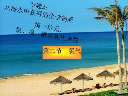 氯、溴、碘及其化合物PPT课件7(12份打包) 苏教版2