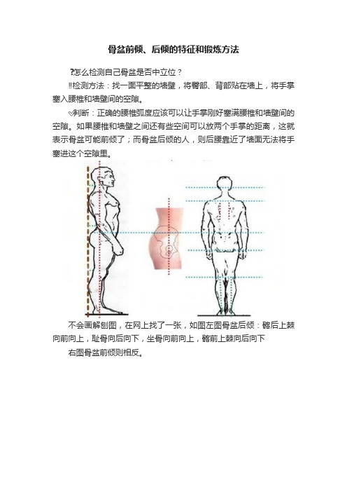 骨盆前倾、后倾的特征和锻炼方法