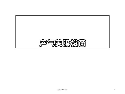 产气荚膜梭菌ppt课件