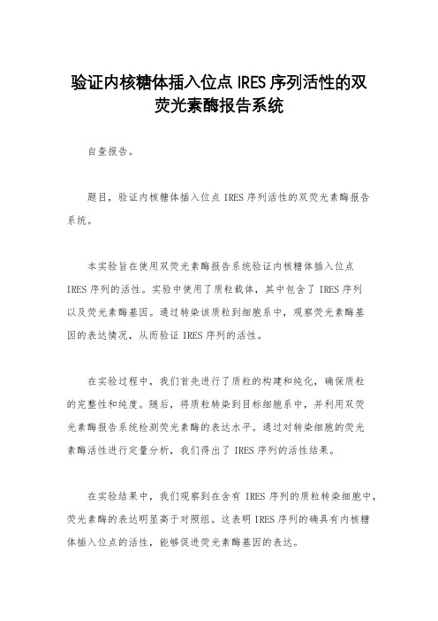 验证内核糖体插入位点IRES序列活性的双荧光素酶报告系统