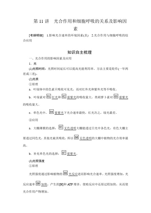 2020年高考生物一轮复习讲义：必修1 第三单元 第11讲 光合作用和细胞呼吸的关系及影响因素