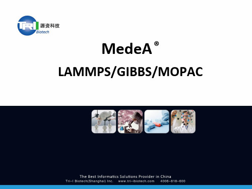 2015源资培训班-VASP上机练习讲解(MedeA-LAMMPS-GIBBS-MOPAC模块的使用)