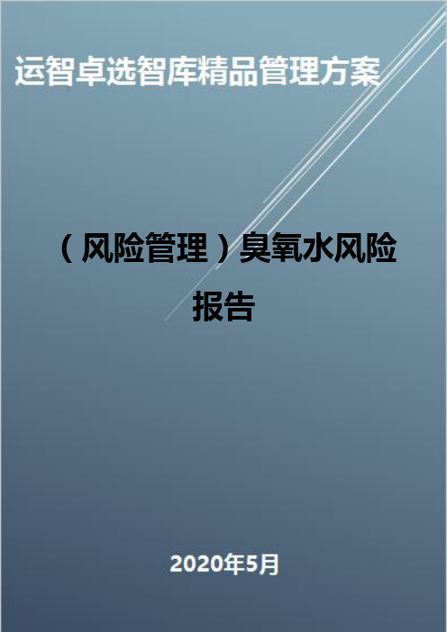 (风险管理)臭氧水风险报告