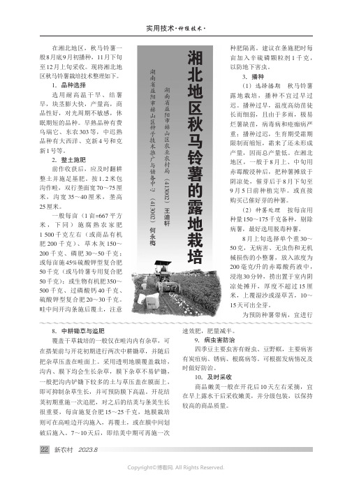 湘北地区秋马铃薯的露地栽培