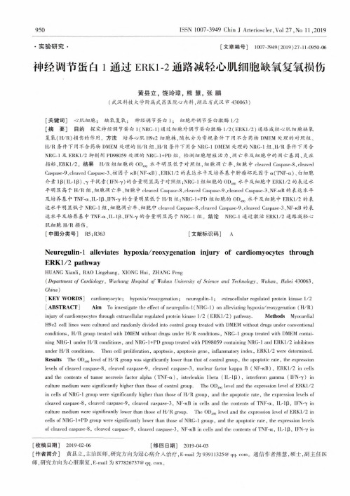 神经调节蛋白1通过erk1-2通路减轻心肌细胞缺氧复氧损伤