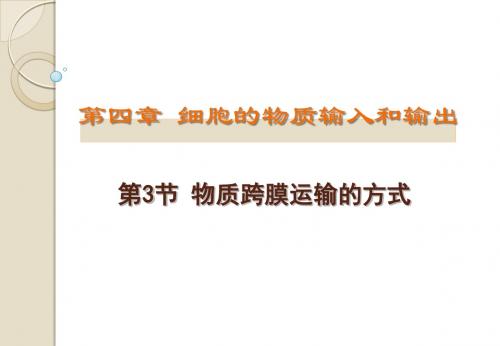 第3节 物质跨膜运输的方式